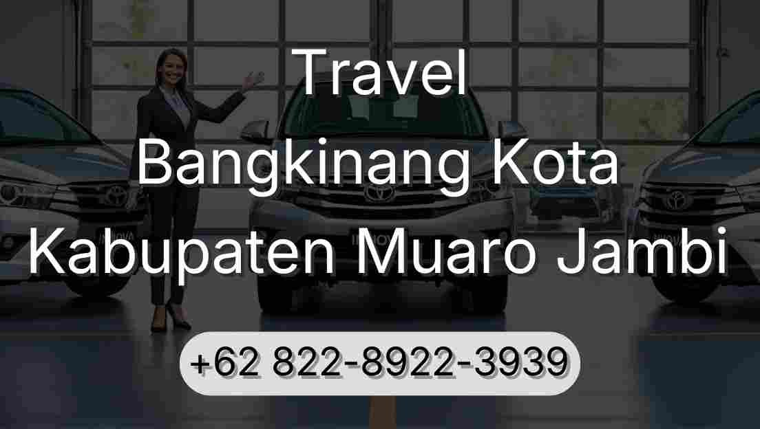 Travel Bangkinang Kota Kabupaten Muaro Jambi