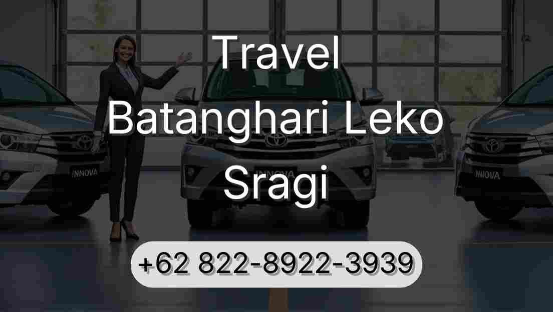 Travel Batanghari Leko Sragi