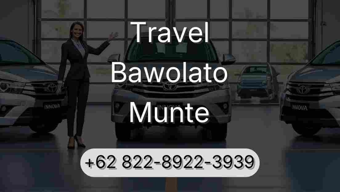 Travel Bawolato Munte