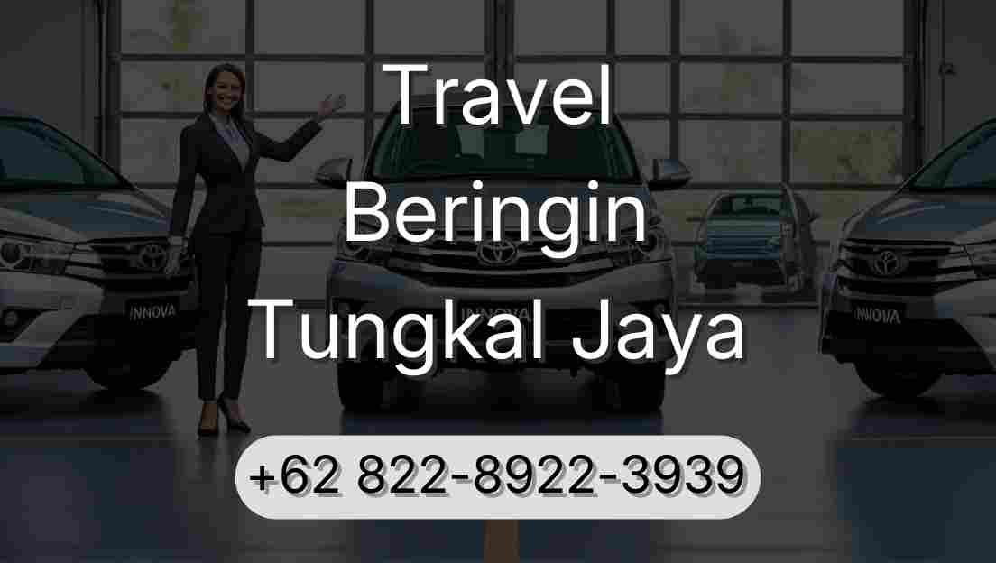 Travel Beringin Tungkal Jaya