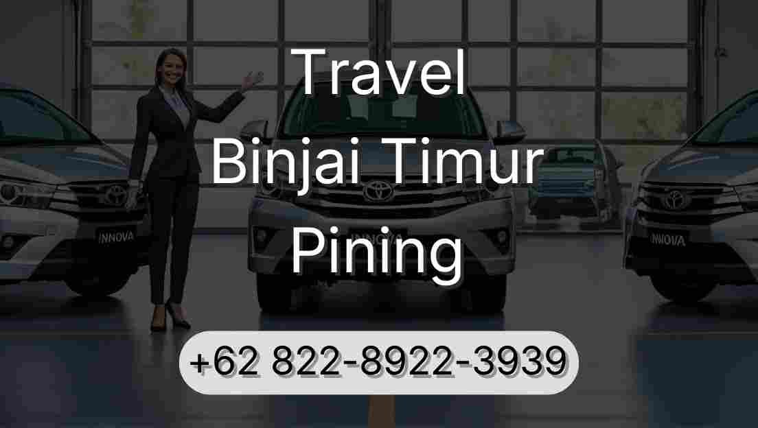 Travel Binjai Timur Pining