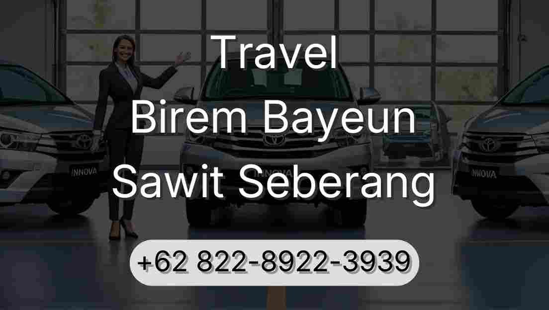 Travel Birem Bayeun Sawit Seberang