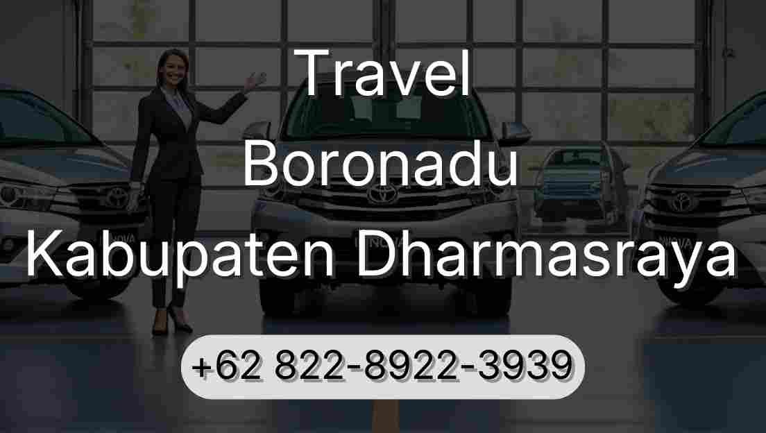 Travel Boronadu Kabupaten Dharmasraya