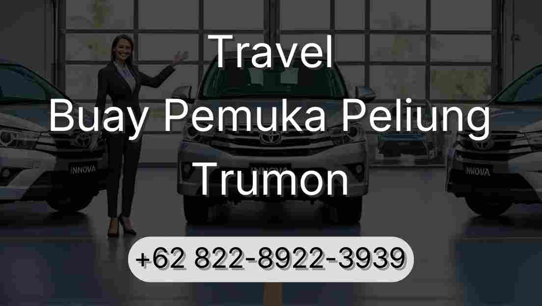 Travel Buay Pemuka Peliung Trumon