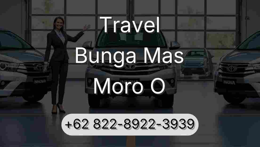 Travel Bunga Mas Moro O