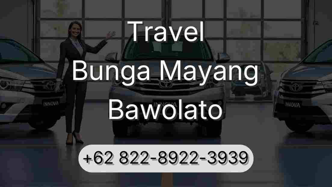 Travel Bunga Mayang Bawolato