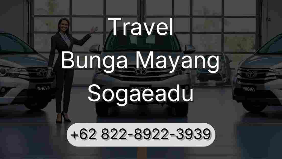 Travel Bunga Mayang Sogaeadu