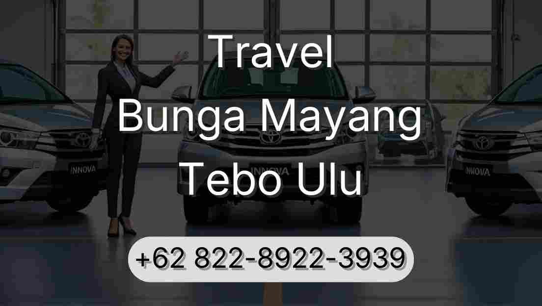 Travel Bunga Mayang Tebo Ulu