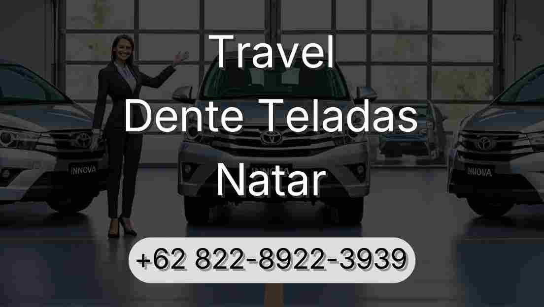 Travel Dente Teladas Natar