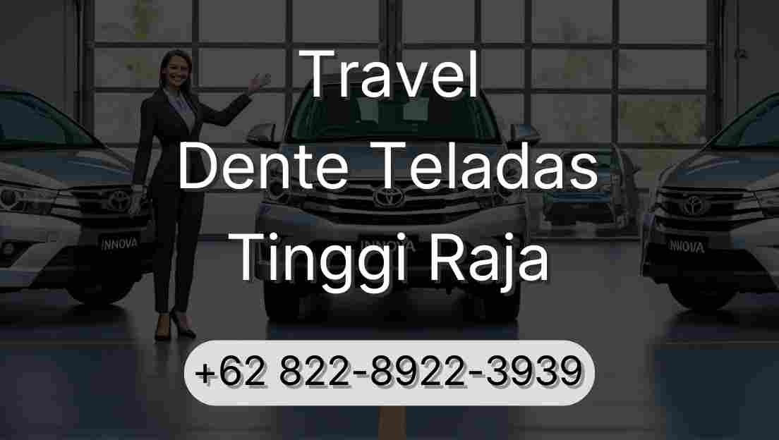 Travel Dente Teladas Tinggi Raja