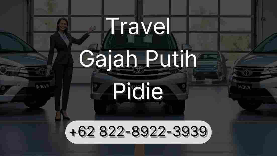 Travel Gajah Putih Pidie