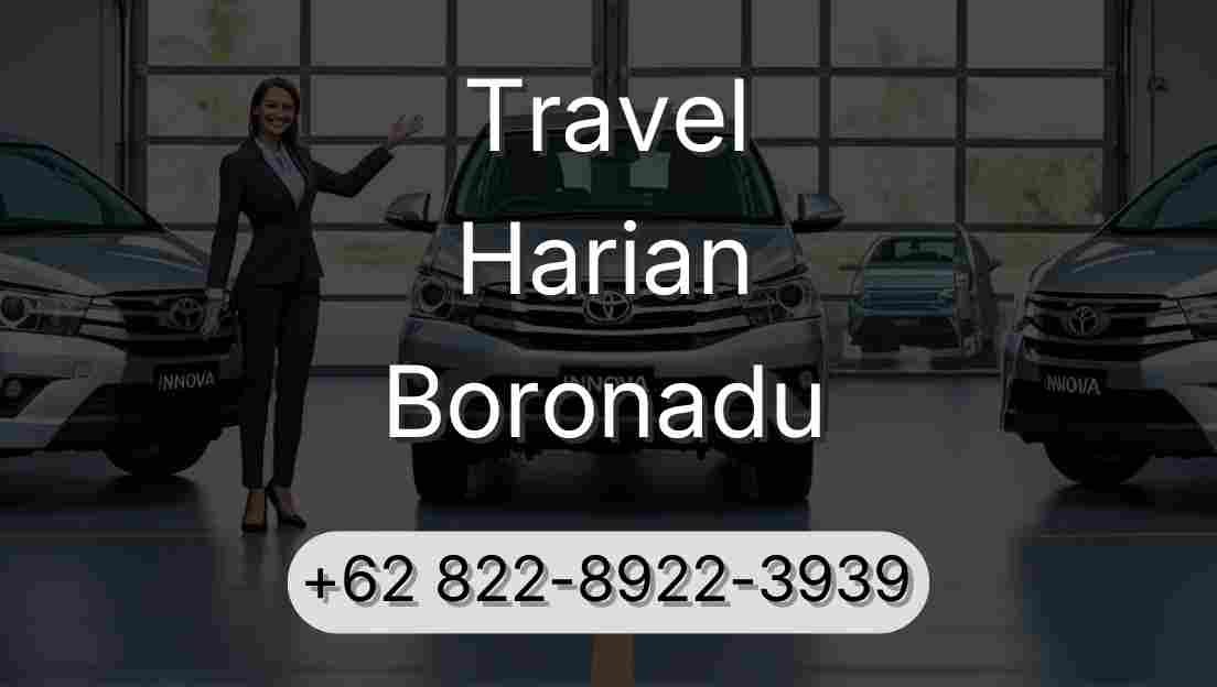 Travel Harian Boronadu