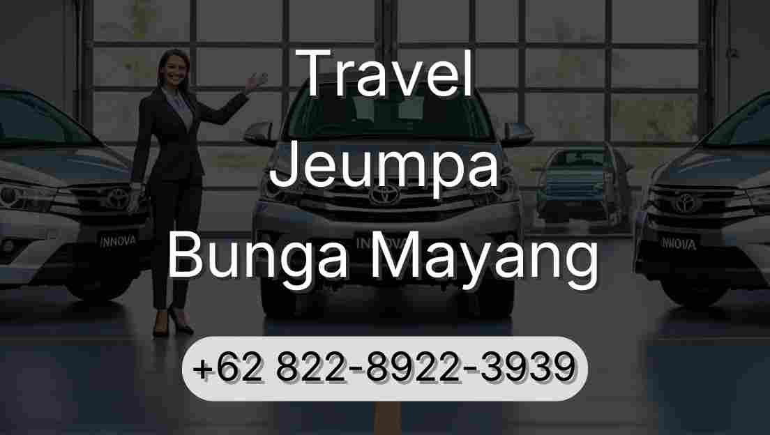 Travel Jeumpa Bunga Mayang