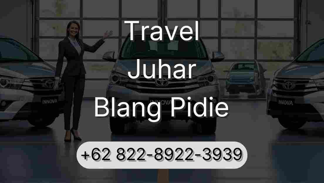 Travel Juhar Blang Pidie