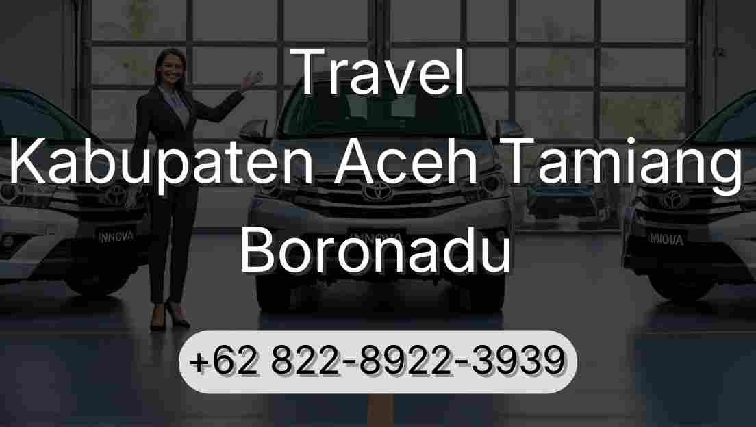 Travel Kabupaten Aceh Tamiang Boronadu