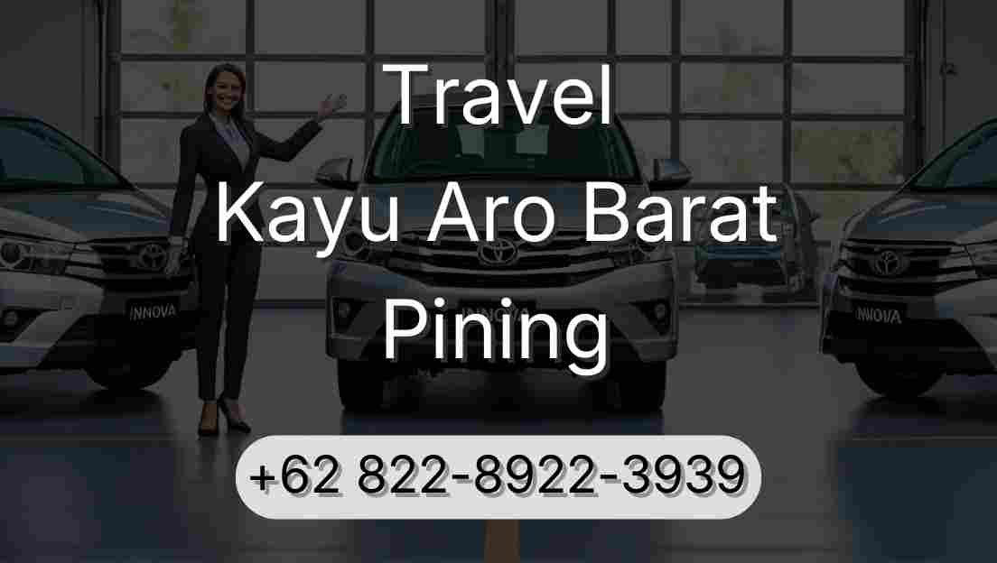 Travel Kayu Aro Barat Pining