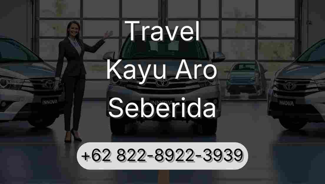 Travel Kayu Aro Seberida
