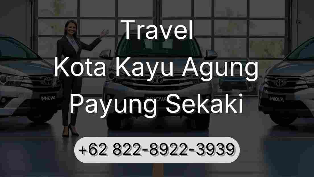 Travel Kota Kayu Agung Payung Sekaki