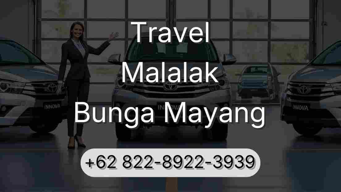 Travel Malalak Bunga Mayang