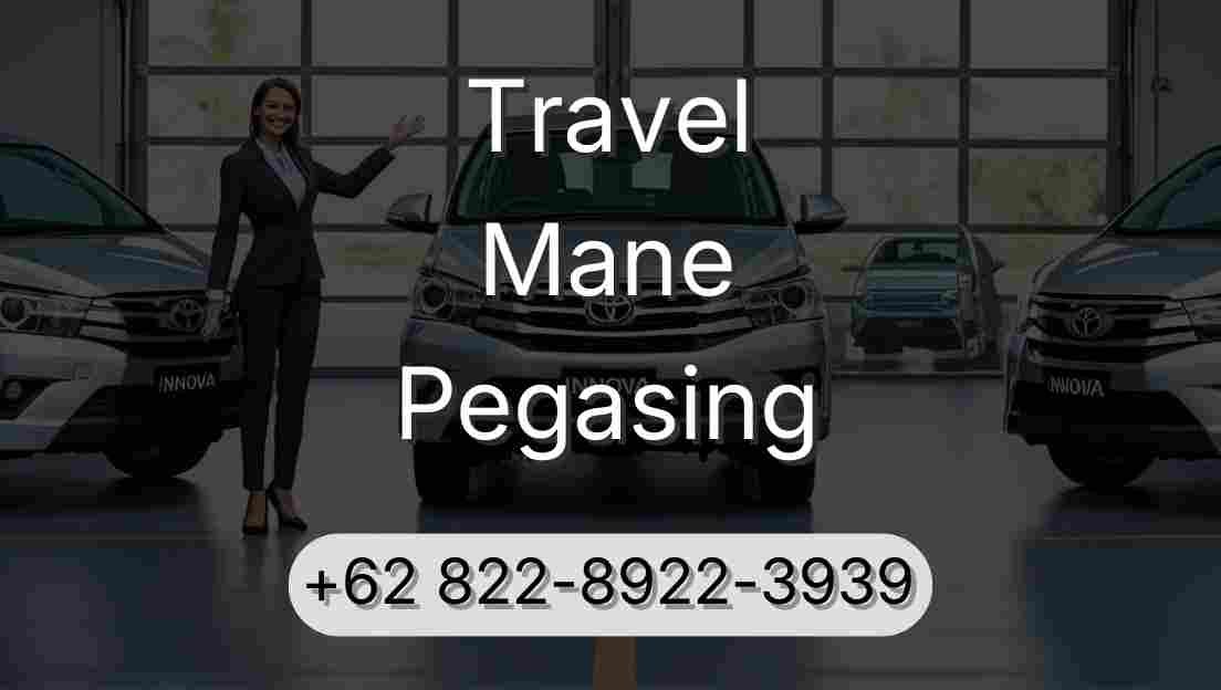 Travel Mane Pegasing