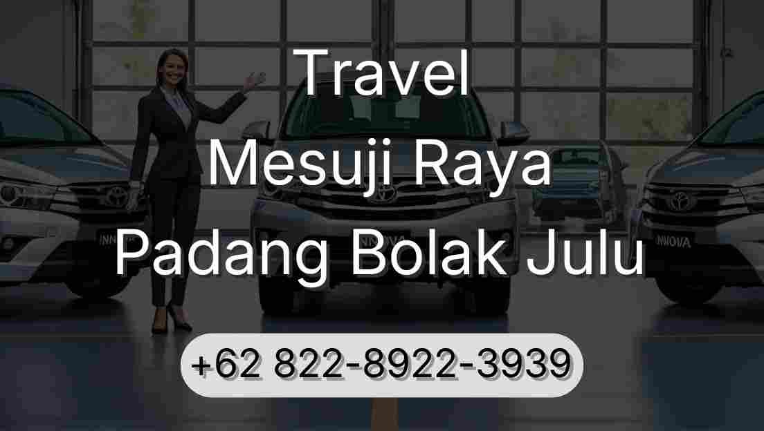 Travel Mesuji Raya Padang Bolak Julu