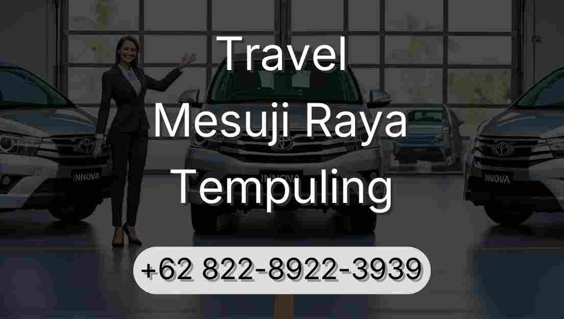 Travel Mesuji Raya Tempuling