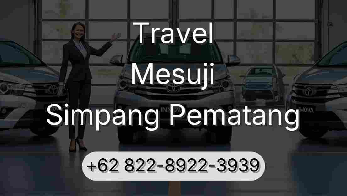 Travel Mesuji Simpang Pematang