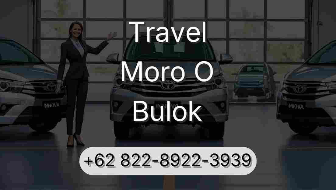 Travel Moro O Bulok