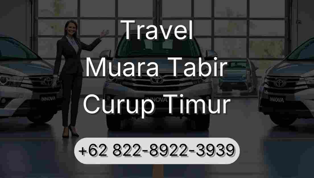 Travel Muara Tabir Curup Timur