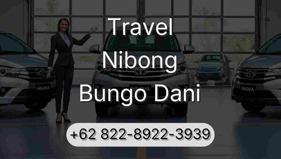 Travel Nibong Bungo Dani
