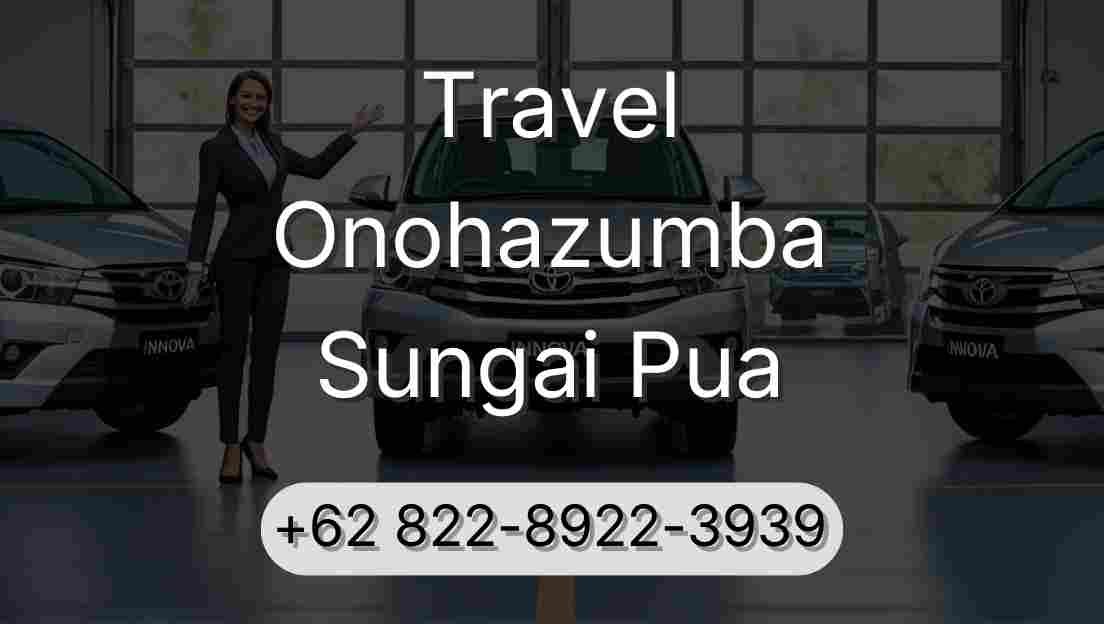 Travel Onohazumba Sungai Pua