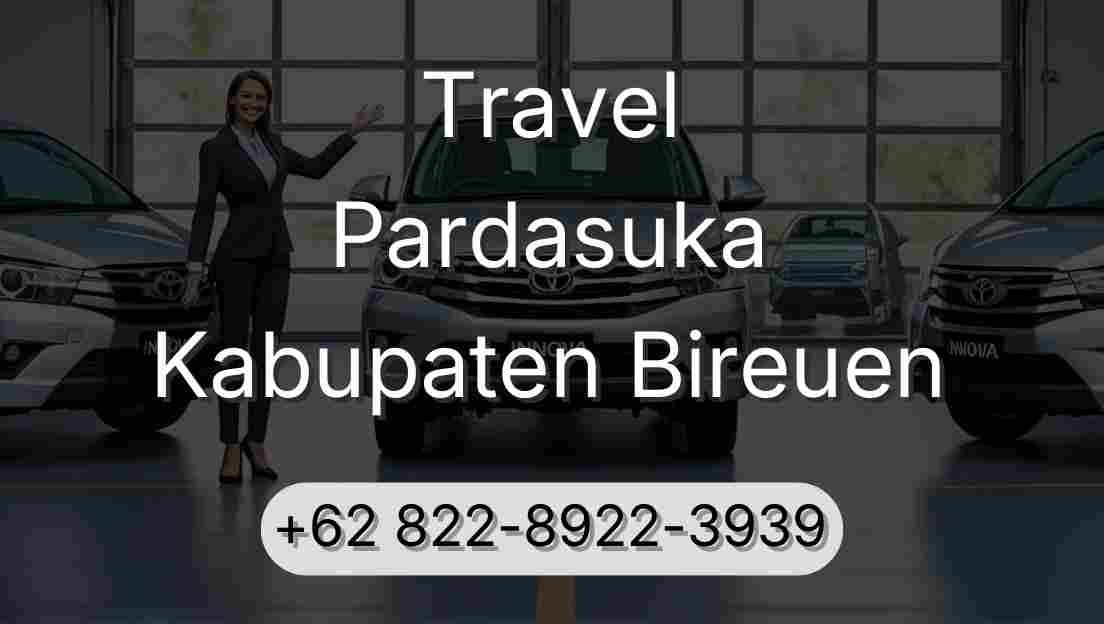 Travel Pardasuka Kabupaten Bireuen