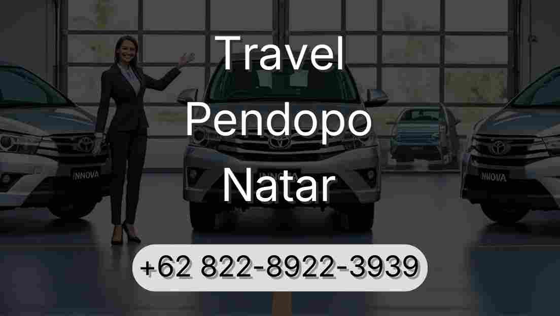Travel Pendopo Natar