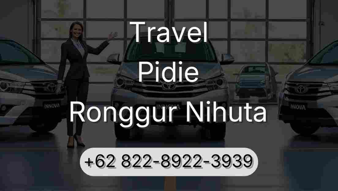 Travel Pidie Ronggur Nihuta