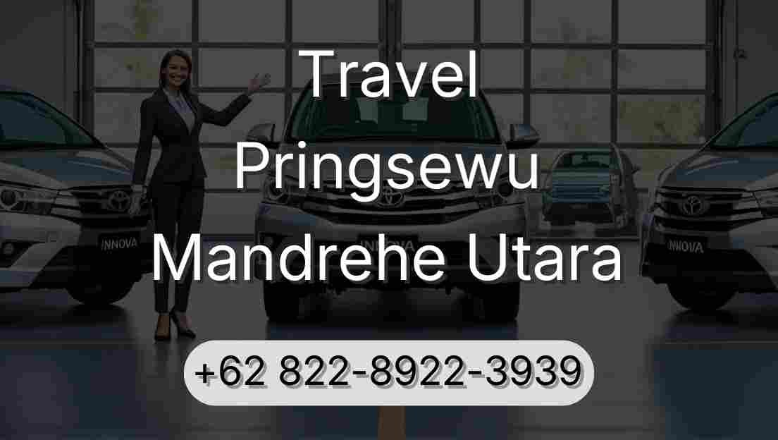 Travel Pringsewu Mandrehe Utara