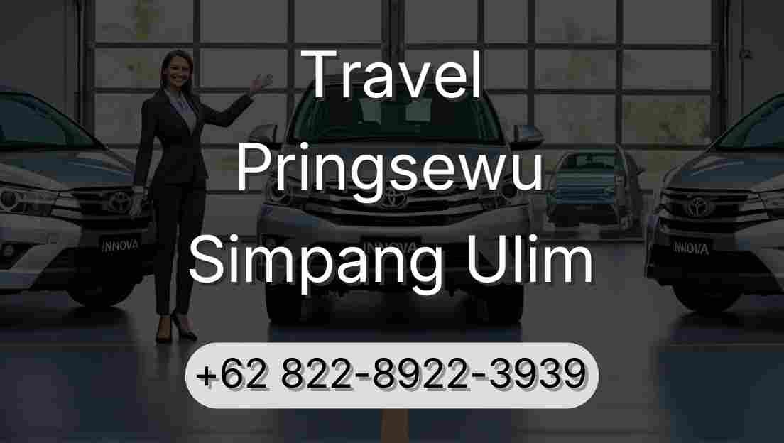 Travel Pringsewu Simpang Ulim