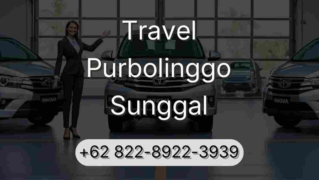Travel Purbolinggo Sunggal