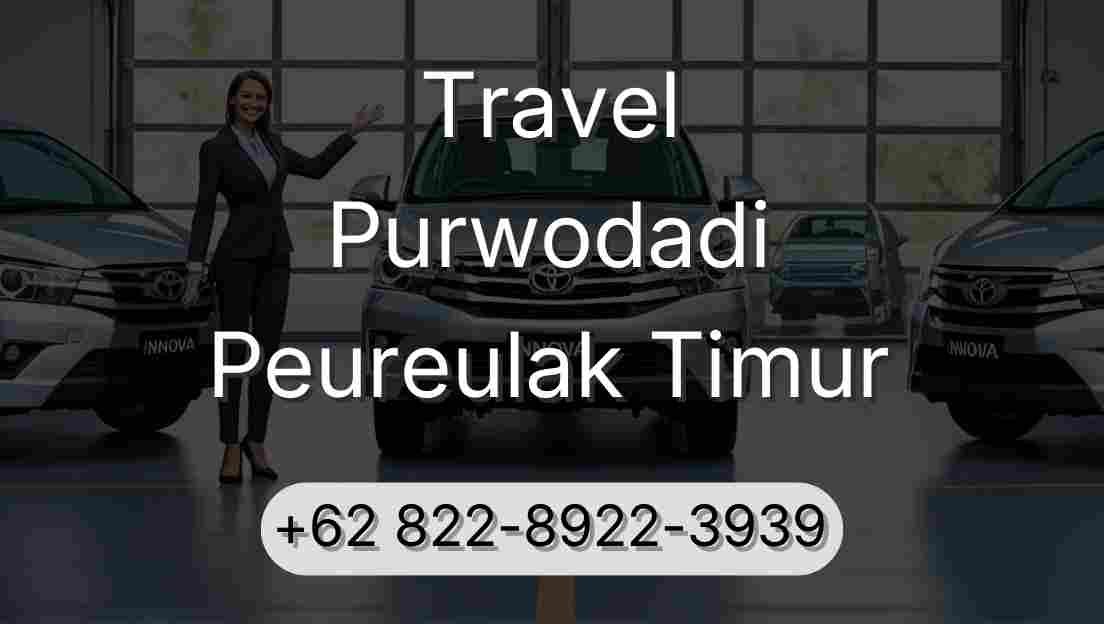 Travel Purwodadi Peureulak Timur