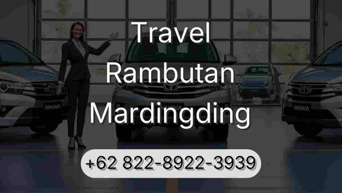 Travel Rambutan Mardingding