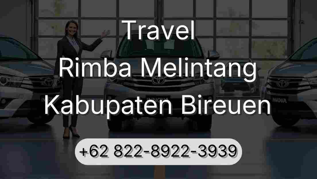 Travel Rimba Melintang Kabupaten Bireuen