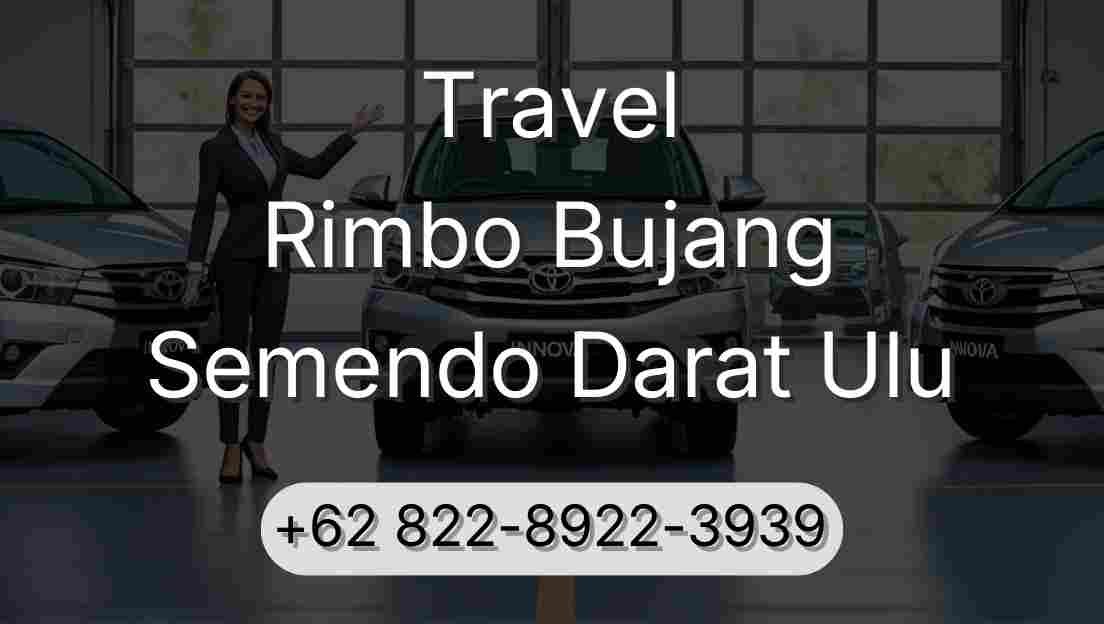 Travel Rimbo Bujang Semendo Darat Ulu