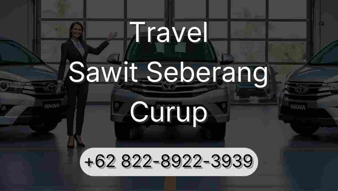 Travel Sawit Seberang Curup