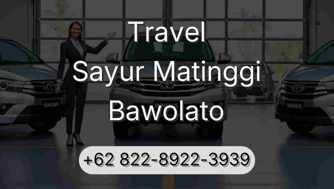 Travel Sayur Matinggi Bawolato