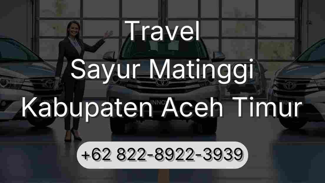 Travel Sayur Matinggi Kabupaten Aceh Timur