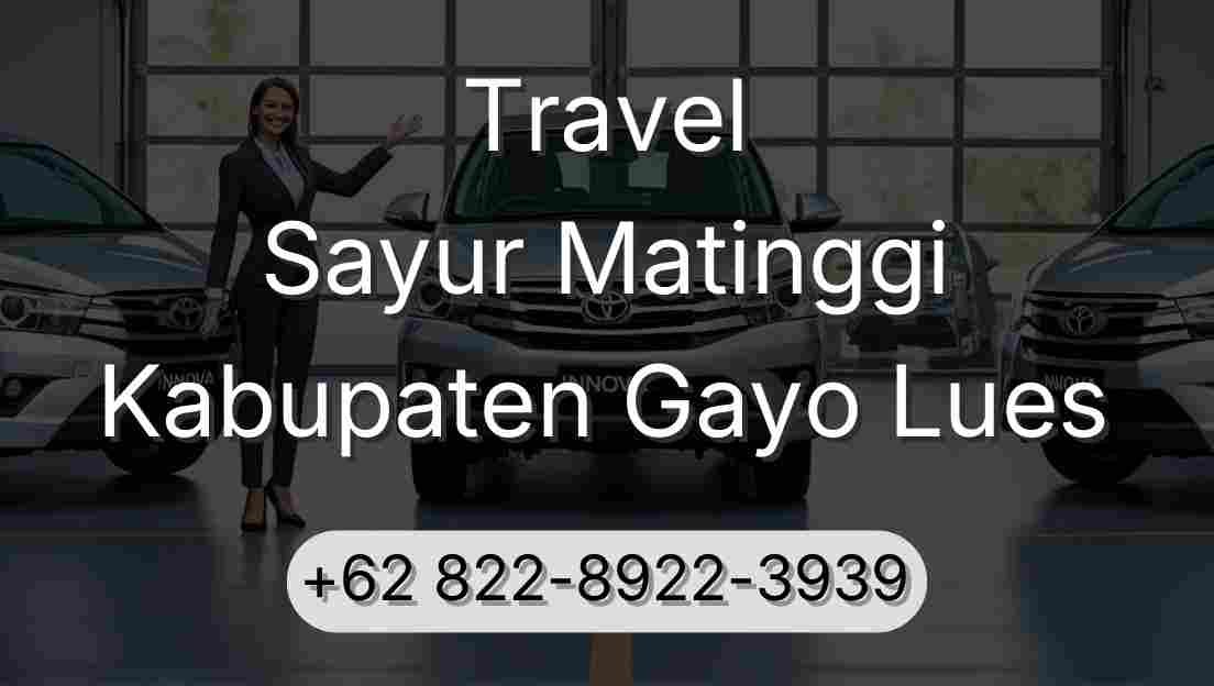 Travel Sayur Matinggi Kabupaten Gayo Lues