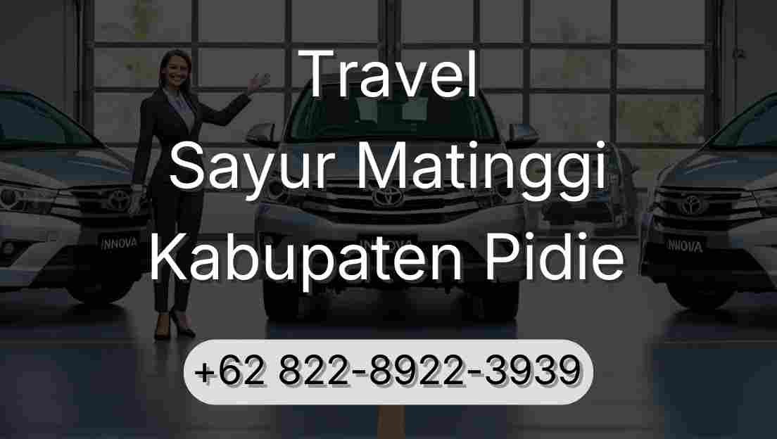 Travel Sayur Matinggi Kabupaten Pidie