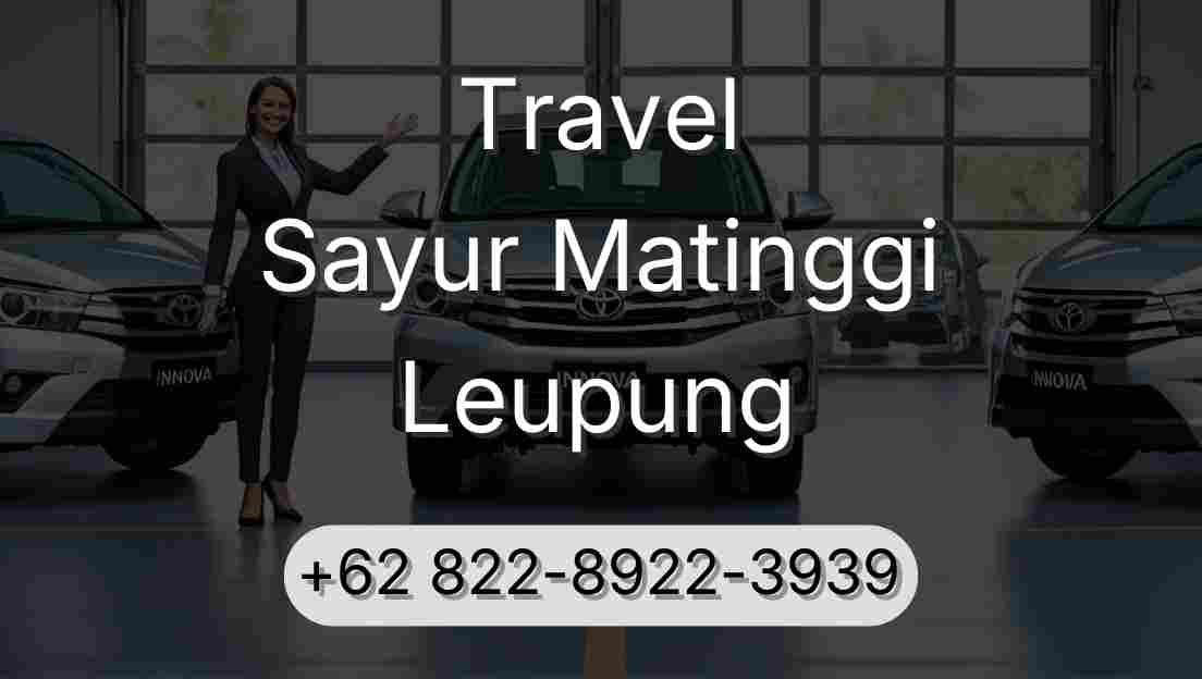 Travel Sayur Matinggi Leupung