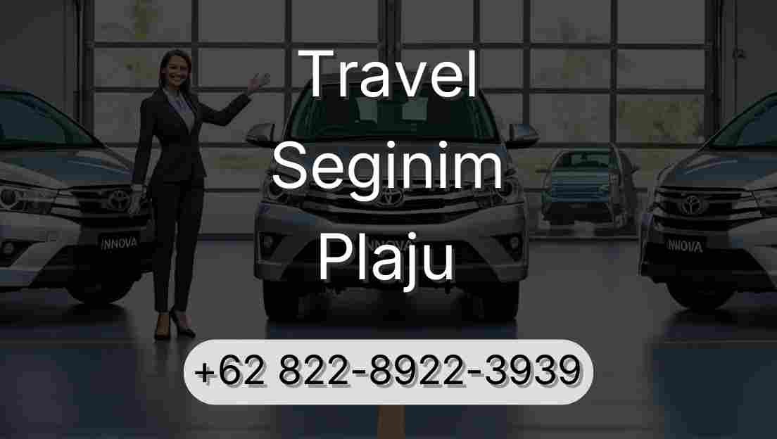 Travel Seginim Plaju