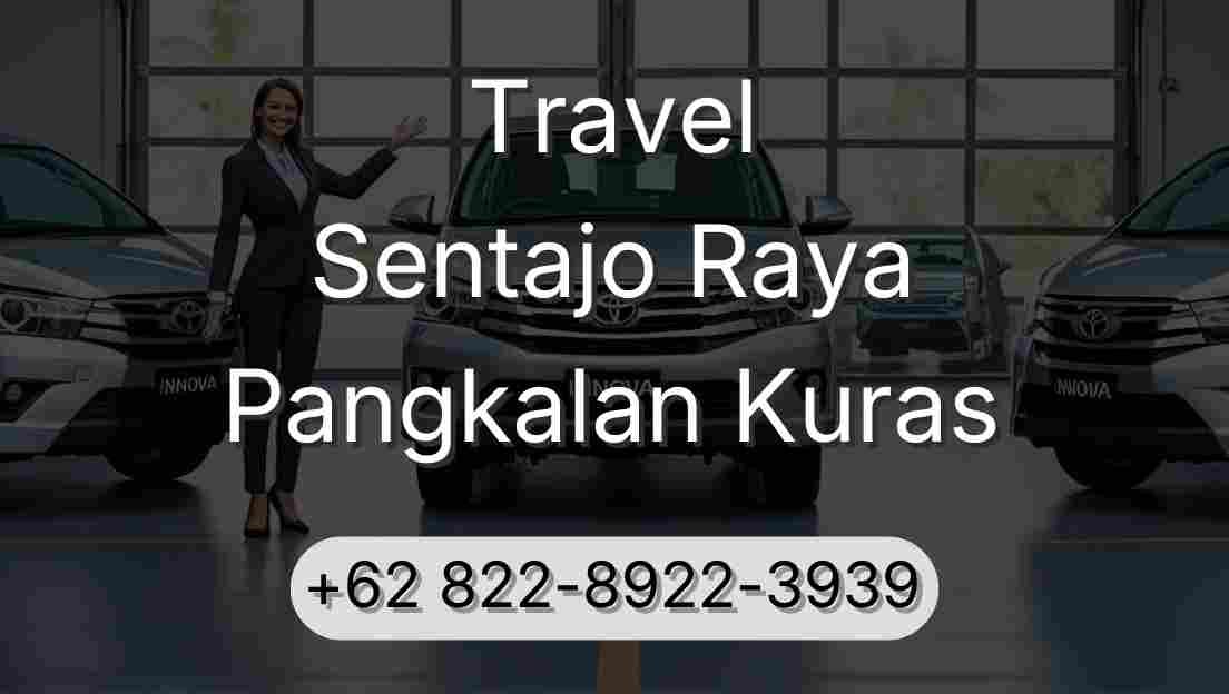 Travel Sentajo Raya Pangkalan Kuras