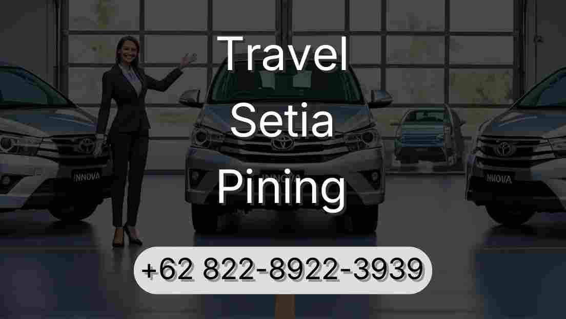 Travel Setia Pining